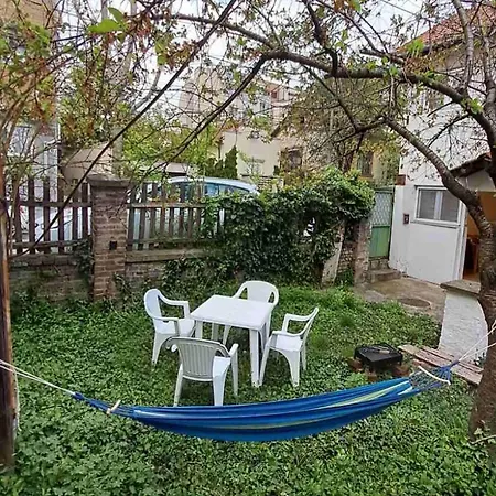 Old Cherry Belgrad
